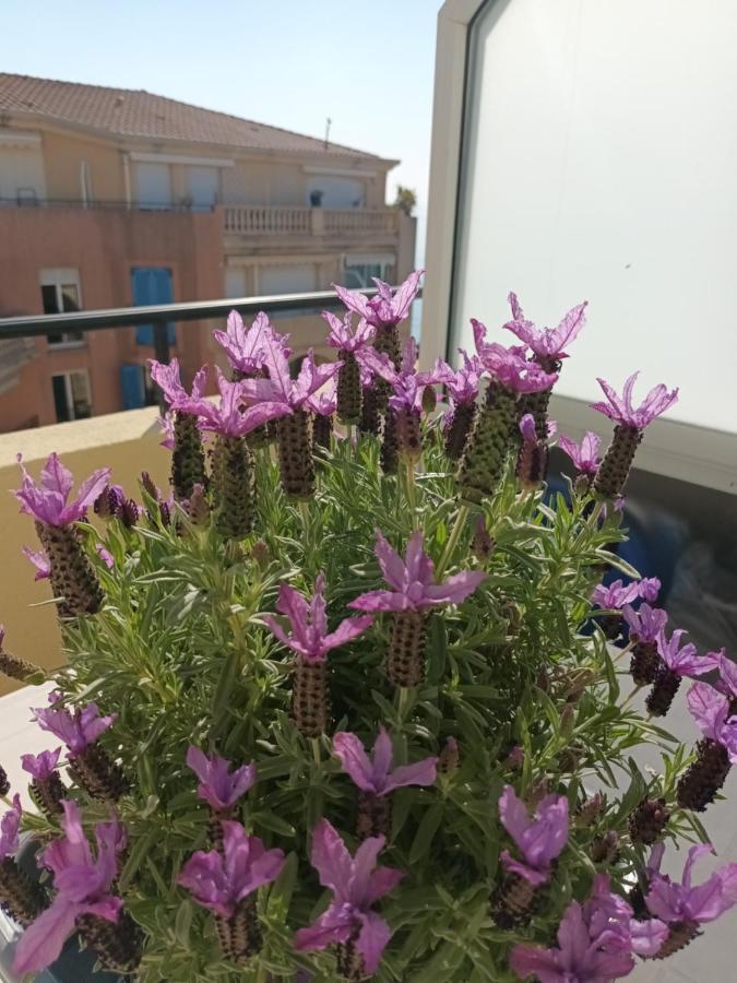 Attico Victoria Palace Suggestivo E Spettacolare Menton Kültér fotó